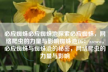 必应蜘蛛必应蜘蛛池探索必应蜘蛛，网络爬虫的力量与影响蜘蛛池TG：zzcseo，必应蜘蛛与蜘蛛池的秘密，网络爬虫的力量与影响