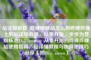 站详细教程_哔哩哔哩站怎么用哔哩哔哩上的站详细教程，从零开始，步步为营蜘蛛池TG：zzcseo，从零开始的哔哩哔哩站使用指南，站详细教程与蜘蛛池技巧分享（附TG，zzcseo）