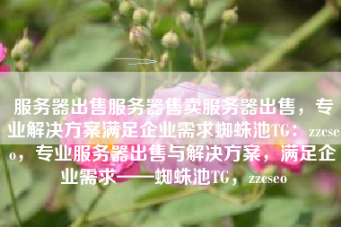 服务器出售服务器售卖服务器出售，专业解决方案满足企业需求蜘蛛池TG：zzcseo，专业服务器出售与解决方案，满足企业需求——蜘蛛池TG，zzcseo
