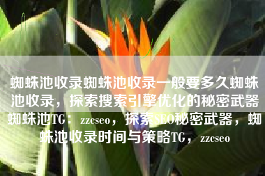 蜘蛛池收录蜘蛛池收录一般要多久蜘蛛池收录，探索搜索引擎优化的秘密武器蜘蛛池TG：zzcseo，探索SEO秘密武器，蜘蛛池收录时间与策略TG，zzcseo