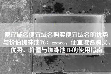 便宜域名便宜域名购买便宜域名的优势与价值蜘蛛池TG：zzcseo，便宜域名购买，优势、价值与蜘蛛池TG的使用指南