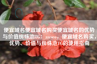 便宜域名便宜域名购买便宜域名的优势与价值蜘蛛池TG：zzcseo，便宜域名购买，优势、价值与蜘蛛池TG的使用指南