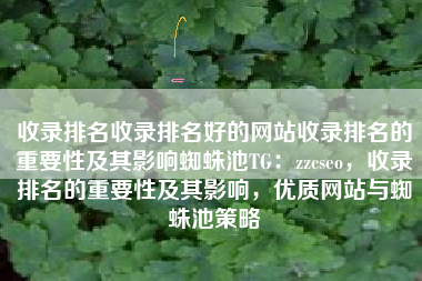 收录排名收录排名好的网站收录排名的重要性及其影响蜘蛛池TG：zzcseo，收录排名的重要性及其影响，优质网站与蜘蛛池策略