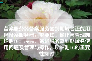 备案服务器备案服务器到期域名还能用吗备案服务器，重要性、操作与管理蜘蛛池TG：zzcseo，备案服务器到期域名使用问题及管理与操作，蜘蛛池TG的重要性探讨