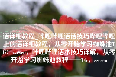 话详细教程_哔哩哔哩话话技巧哔哩哔哩上的话详细教程，从零开始学习蜘蛛池TG：zzcseo，哔哩哔哩话术技巧详解，从零开始学习蜘蛛池教程——TG，zzcseo
