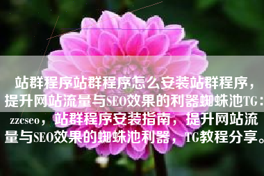站群程序站群程序怎么安装站群程序，提升网站流量与SEO效果的利器蜘蛛池TG：zzcseo，站群程序安装指南，提升网站流量与SEO效果的蜘蛛池利器，TG教程分享。