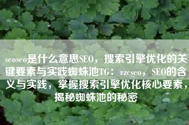 seoseo是什么意思SEO，搜索引擎优化的关键要素与实践蜘蛛池TG：zzcseo，SEO的含义与实践，掌握搜索引擎优化核心要素，揭秘蜘蛛池的秘密