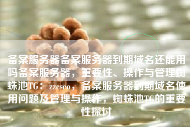 备案服务器备案服务器到期域名还能用吗备案服务器，重要性、操作与管理蜘蛛池TG：zzcseo，备案服务器到期域名使用问题及管理与操作，蜘蛛池TG的重要性探讨