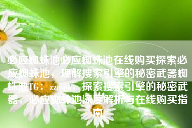 必应蜘蛛池必应蜘蛛池在线购买探索必应蜘蛛池，理解搜索引擎的秘密武器蜘蛛池TG：zzcseo，探索搜索引擎的秘密武器，必应蜘蛛池深度解析与在线购买指南