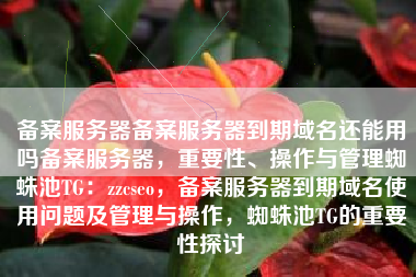 备案服务器备案服务器到期域名还能用吗备案服务器，重要性、操作与管理蜘蛛池TG：zzcseo，备案服务器到期域名使用问题及管理与操作，蜘蛛池TG的重要性探讨
