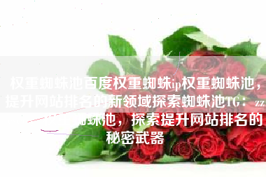 权重蜘蛛池百度权重蜘蛛ip权重蜘蛛池，提升网站排名的新领域探索蜘蛛池TG：zzcseo，权重蜘蛛池，探索提升网站排名的秘密武器