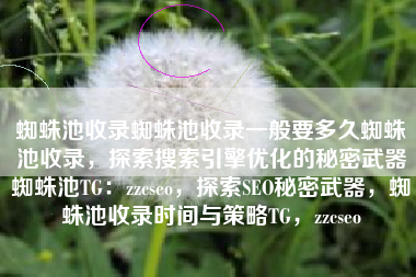 蜘蛛池收录蜘蛛池收录一般要多久蜘蛛池收录，探索搜索引擎优化的秘密武器蜘蛛池TG：zzcseo，探索SEO秘密武器，蜘蛛池收录时间与策略TG，zzcseo