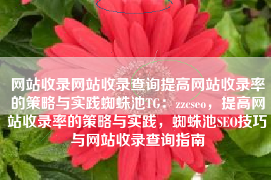 网站收录网站收录查询提高网站收录率的策略与实践蜘蛛池TG：zzcseo，提高网站收录率的策略与实践，蜘蛛池SEO技巧与网站收录查询指南