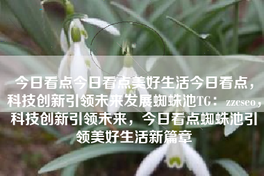 今日看点今日看点美好生活今日看点，科技创新引领未来发展蜘蛛池TG：zzcseo，科技创新引领未来，今日看点蜘蛛池引领美好生活新篇章