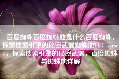 百度蜘蛛百度蜘蛛池是什么百度蜘蛛，探索搜索引擎的秘密武器蜘蛛池TG：zzcseo，探索搜索引擎的秘密武器，百度蜘蛛与蜘蛛池详解