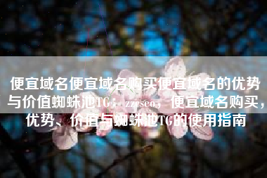便宜域名便宜域名购买便宜域名的优势与价值蜘蛛池TG：zzcseo，便宜域名购买，优势、价值与蜘蛛池TG的使用指南