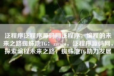 泛程序泛程序源码网泛程序，编程的未来之路蜘蛛池TG：zzcseo，泛程序源码网，探索编程未来之路，蜘蛛池TG助力发展