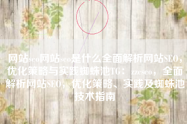 网站seo网站seo是什么全面解析网站SEO，优化策略与实践蜘蛛池TG：zzcseo，全面解析网站SEO，优化策略、实践及蜘蛛池技术指南
