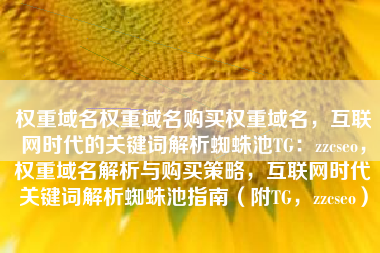 权重域名权重域名购买权重域名，互联网时代的关键词解析蜘蛛池TG：zzcseo，权重域名解析与购买策略，互联网时代关键词解析蜘蛛池指南（附TG，zzcseo）