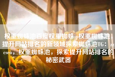权重蜘蛛池百度权重蜘蛛ip权重蜘蛛池，提升网站排名的新领域探索蜘蛛池TG：zzcseo，权重蜘蛛池，探索提升网站排名的秘密武器
