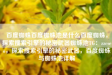 百度蜘蛛百度蜘蛛池是什么百度蜘蛛，探索搜索引擎的秘密武器蜘蛛池TG：zzcseo，探索搜索引擎的秘密武器，百度蜘蛛与蜘蛛池详解