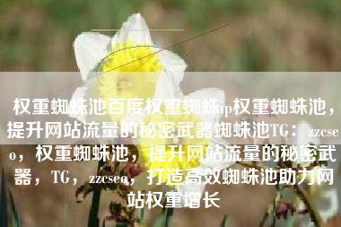 权重蜘蛛池百度权重蜘蛛ip权重蜘蛛池，提升网站流量的秘密武器蜘蛛池TG：zzcseo，权重蜘蛛池，提升网站流量的秘密武器，TG，zzcseo，打造高效蜘蛛池助力网站权重增长