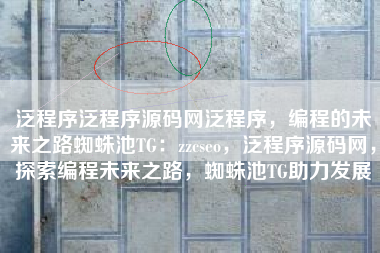 泛程序泛程序源码网泛程序，编程的未来之路蜘蛛池TG：zzcseo，泛程序源码网，探索编程未来之路，蜘蛛池TG助力发展