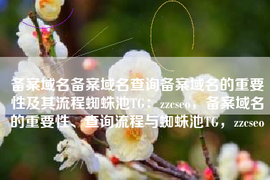 备案域名备案域名查询备案域名的重要性及其流程蜘蛛池TG：zzcseo，备案域名的重要性、查询流程与蜘蛛池TG，zzcseo