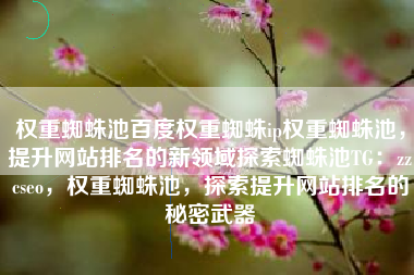 权重蜘蛛池百度权重蜘蛛ip权重蜘蛛池，提升网站排名的新领域探索蜘蛛池TG：zzcseo，权重蜘蛛池，探索提升网站排名的秘密武器