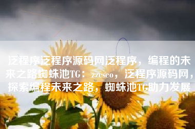 泛程序泛程序源码网泛程序，编程的未来之路蜘蛛池TG：zzcseo，泛程序源码网，探索编程未来之路，蜘蛛池TG助力发展