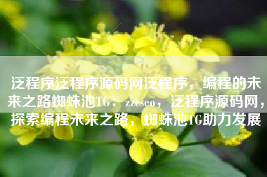 泛程序泛程序源码网泛程序，编程的未来之路蜘蛛池TG：zzcseo，泛程序源码网，探索编程未来之路，蜘蛛池TG助力发展