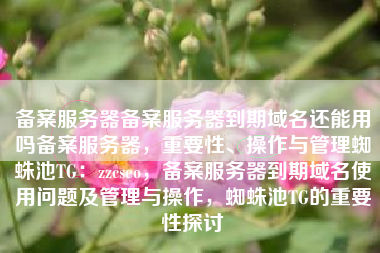 备案服务器备案服务器到期域名还能用吗备案服务器，重要性、操作与管理蜘蛛池TG：zzcseo，备案服务器到期域名使用问题及管理与操作，蜘蛛池TG的重要性探讨