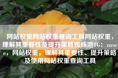 网站权重网站权重查询工具网站权重，理解其重要性及提升策略蜘蛛池TG：zzcseo，网站权重，理解其重要性、提升策略及使用网站权重查询工具