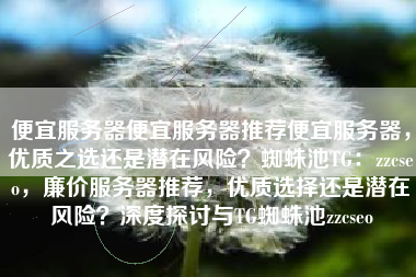 便宜服务器便宜服务器推荐便宜服务器，优质之选还是潜在风险？蜘蛛池TG：zzcseo，廉价服务器推荐，优质选择还是潜在风险？深度探讨与TG蜘蛛池zzcseo