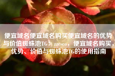 便宜域名便宜域名购买便宜域名的优势与价值蜘蛛池TG：zzcseo，便宜域名购买，优势、价值与蜘蛛池TG的使用指南