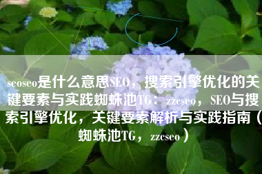 seoseo是什么意思SEO，搜索引擎优化的关键要素与实践蜘蛛池TG：zzcseo，SEO与搜索引擎优化，关键要素解析与实践指南（蜘蛛池TG，zzcseo）