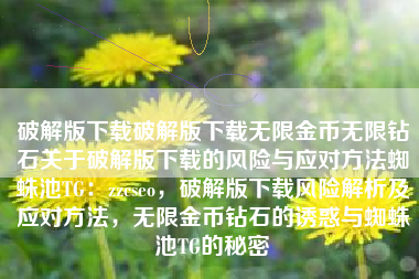 破解版下载破解版下载无限金币无限钻石关于破解版下载的风险与应对方法蜘蛛池TG：zzcseo，破解版下载风险解析及应对方法，无限金币钻石的诱惑与蜘蛛池TG的秘密