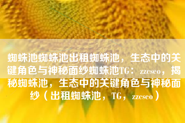 蜘蛛池蜘蛛池出租蜘蛛池，生态中的关键角色与神秘面纱蜘蛛池TG：zzcseo，揭秘蜘蛛池，生态中的关键角色与神秘面纱（出租蜘蛛池，TG，zzcseo）