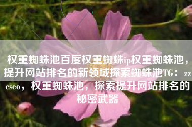 权重蜘蛛池百度权重蜘蛛ip权重蜘蛛池，提升网站排名的新领域探索蜘蛛池TG：zzcseo，权重蜘蛛池，探索提升网站排名的秘密武器
