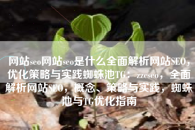 网站seo网站seo是什么全面解析网站SEO，优化策略与实践蜘蛛池TG：zzcseo，全面解析网站SEO，概念、策略与实践，蜘蛛池与TG优化指南