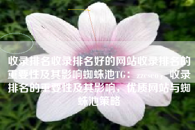 收录排名收录排名好的网站收录排名的重要性及其影响蜘蛛池TG：zzcseo，收录排名的重要性及其影响，优质网站与蜘蛛池策略