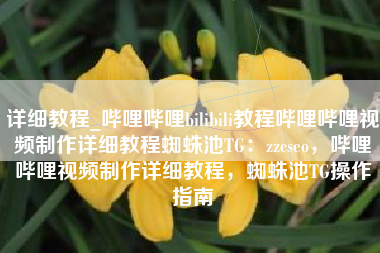 详细教程_哔哩哔哩bilibili教程哔哩哔哩视频制作详细教程蜘蛛池TG：zzcseo，哔哩哔哩视频制作详细教程，蜘蛛池TG操作指南