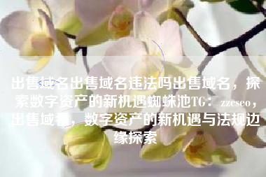 出售域名出售域名违法吗出售域名，探索数字资产的新机遇蜘蛛池TG：zzcseo，出售域名，数字资产的新机遇与法规边缘探索