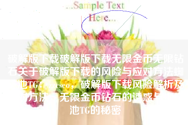 破解版下载破解版下载无限金币无限钻石关于破解版下载的风险与应对方法蜘蛛池TG：zzcseo，破解版下载风险解析及应对方法，无限金币钻石的诱惑与蜘蛛池TG的秘密