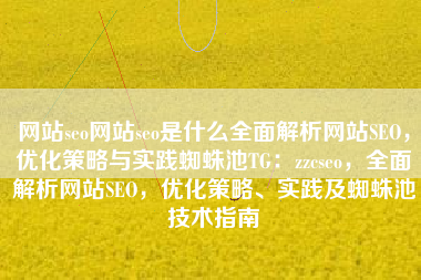网站seo网站seo是什么全面解析网站SEO，优化策略与实践蜘蛛池TG：zzcseo，全面解析网站SEO，优化策略、实践及蜘蛛池技术指南