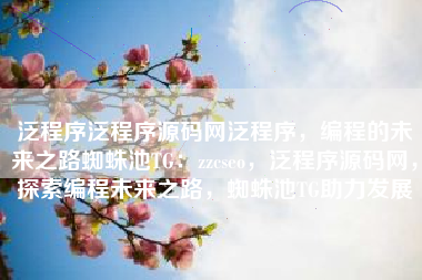 泛程序泛程序源码网泛程序，编程的未来之路蜘蛛池TG：zzcseo，泛程序源码网，探索编程未来之路，蜘蛛池TG助力发展