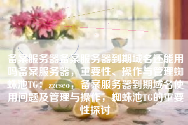 备案服务器备案服务器到期域名还能用吗备案服务器，重要性、操作与管理蜘蛛池TG：zzcseo，备案服务器到期域名使用问题及管理与操作，蜘蛛池TG的重要性探讨