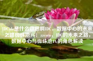IDCidc是什么意思啊IDC，数据中心的未来之路蜘蛛池TG：zzcseo，IDC的未来之路，数据中心与蜘蛛池TG的角色解读