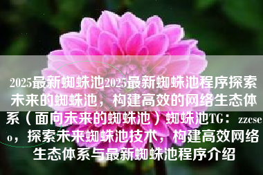 2025最新蜘蛛池2025最新蜘蛛池程序探索未来的蜘蛛池，构建高效的网络生态体系（面向未来的蜘蛛池）蜘蛛池TG：zzcseo，探索未来蜘蛛池技术，构建高效网络生态体系与最新蜘蛛池程序介绍