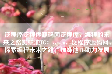 泛程序泛程序源码网泛程序，编程的未来之路蜘蛛池TG：zzcseo，泛程序源码网，探索编程未来之路，蜘蛛池TG助力发展